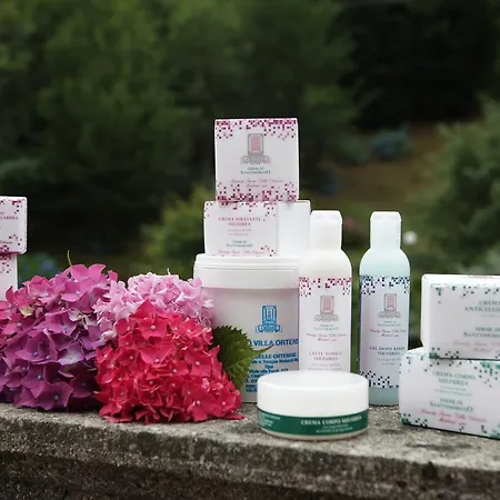 Delle Ortensie فندق