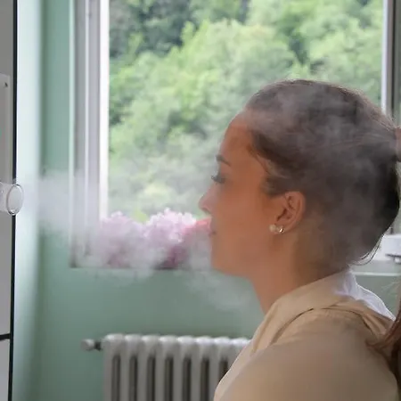 Delle Ortensie 4* Sant'Omobono Imagna