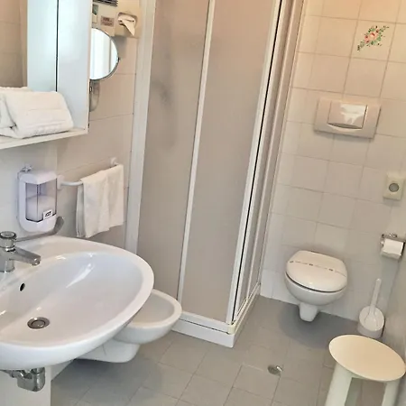 Delle Ortensie 4* Sant'Omobono Terme