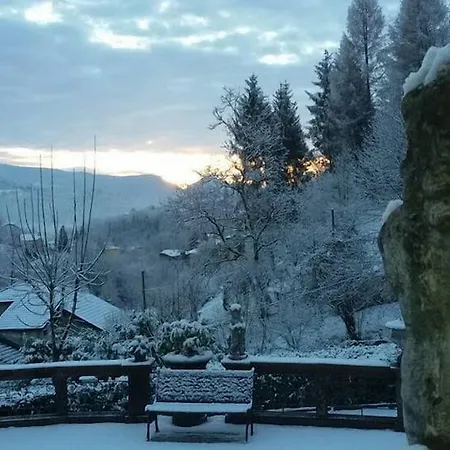 Delle Ortensie 4* Sant'Omobono Terme