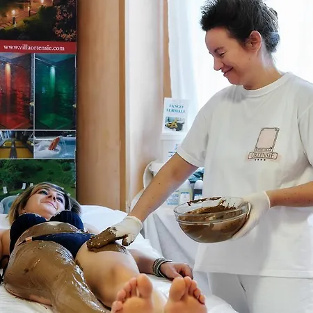 Delle Ortensie Hotel Sant'Omobono Terme