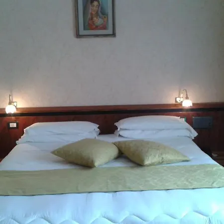 Hotel Delle Ortensie Sant'Omobono Terme