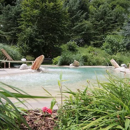 Delle Ortensie Hotel Sant'Omobono Terme