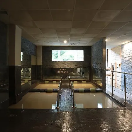 Delle Ortensie Hotel Sant'Omobono Terme